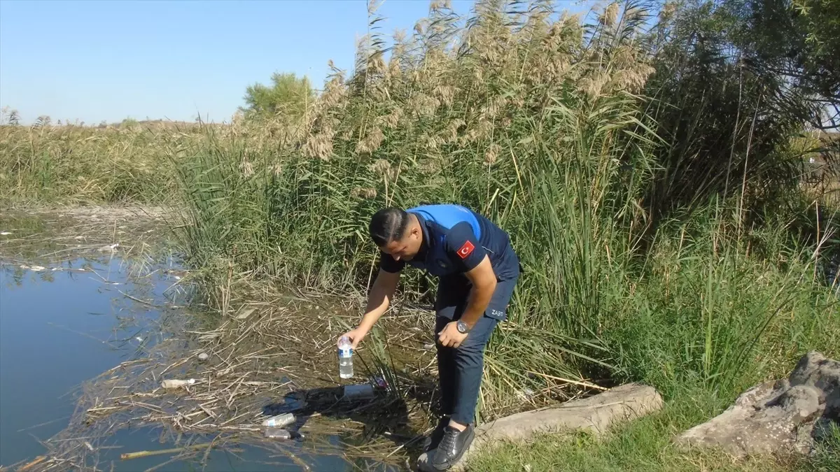 Karasu Çayı’nda Balık Ölümleri ve Kötü Koku