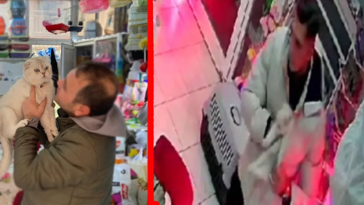 İzmir’de yok artık dedirten olay:  Petshoptan öyle bir şey çaldı ki…