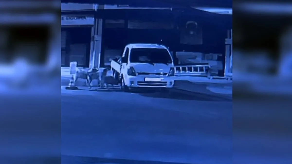 Kastamonu’da sokak köpekleri bir aracı parçaladı: Tam 200 bin liralık hasar!